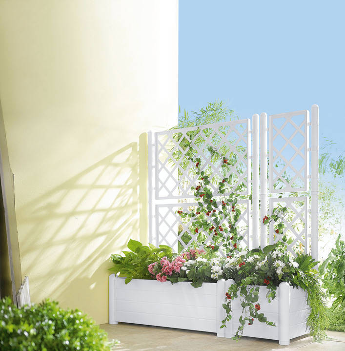 Blumentöpfe und Pflanzgefäße - Pflanzkasten mit Spalierwand, in Farbe WEISS, in Ausführung Pflanzkasten klein Ansicht 1
