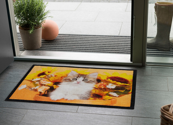 Fußmatten - Fußmatte mit Katzen-Motiv, in Farbe BUNT Ansicht 1