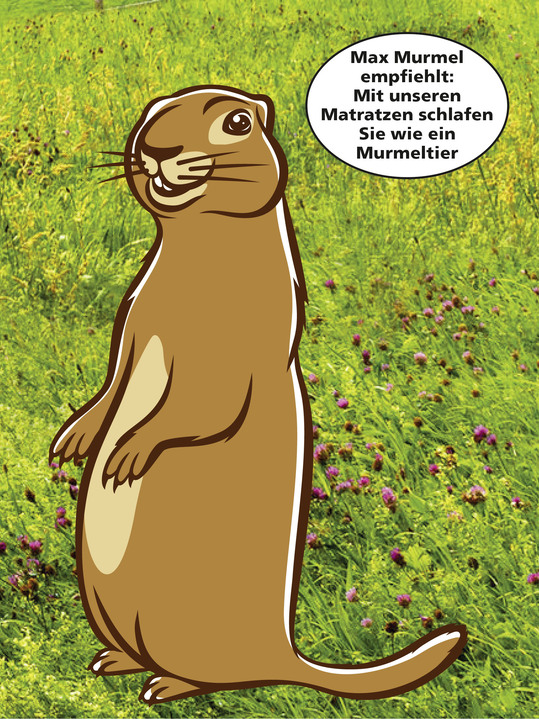 Matratzen & Bettrahmen - 7-Zonen-Bonnellfederkern-Matratze von f.a.n., in Größe 129 (80/190 cm) bis 135 (140/200 cm), in Farbe , in Ausführung Komfort Ansicht 2