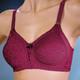 Soft-BH - Format BH mit unterlegten Spitzencups, in Größe 075 bis 110, in Cup A, in Farbe HAUT
