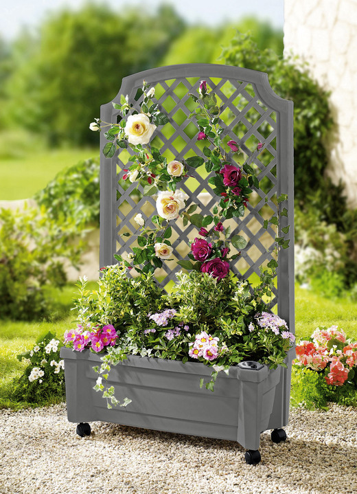 Blumentöpfe und Pflanzgefäße - Roll-Pflanzkasten mit Spalier, in Farbe GRAU Ansicht 1