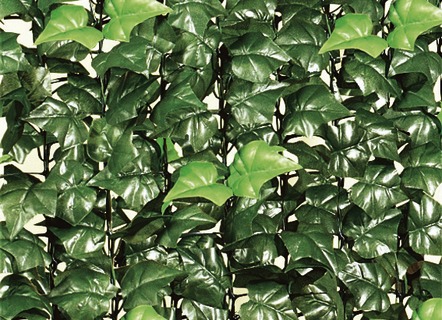 Sichtschutz und Sonnenschutz - Praktischer Sichtschutz aus stabilem Kunststoffgeflecht, in Farbe GRÜN, in Ausführung Efeu