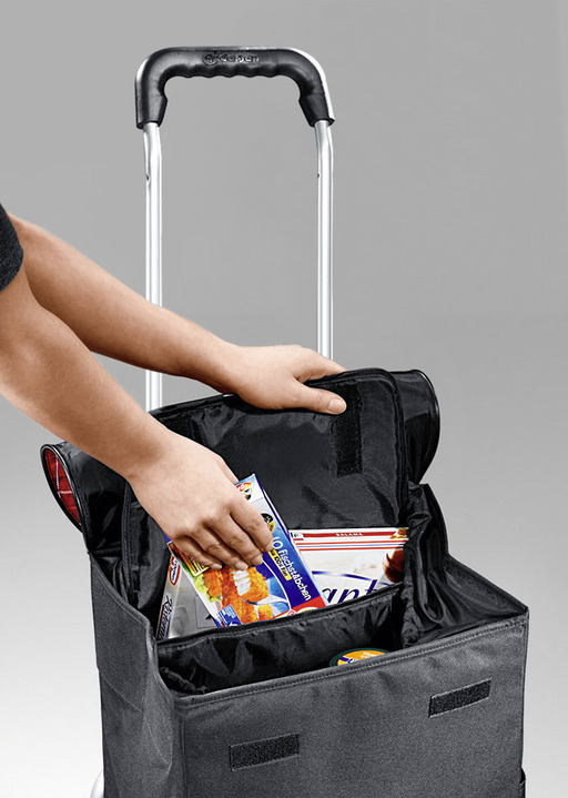 Einkaufstrolleys - Profi-Einkaufsroller mit extragroßen Rädern Ansicht 3 Einkaufstrolleys - Profi-Einkaufsroller mit extragroßen Rädern, in Farbe SCHWARZ, in Ausführung Einkaufsroller Ansicht 3