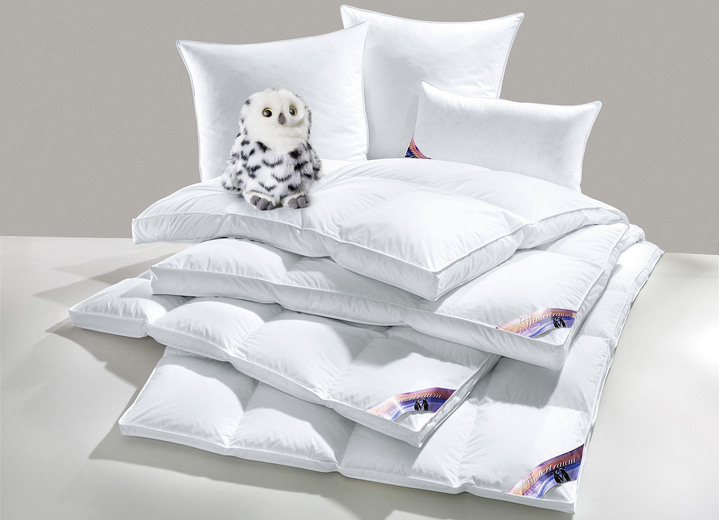 Bettwaren - Herrlich warme Daunendecken-Serie Winterträume von Spessarttraum, in Größe 103 (Bett 135/200 cm) bis 403 (mit gratis Schneeeule, 2x 135/200 cm + 2x 80/80 cm), in Farbe WEISS, in Ausführung WINTERTRAUM – MEDIUM Ansicht 5