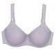 BHs - Triumph-Essential Minimizer Bügel-BH, in Größe 075 bis 095, in Cup C, in Farbe PUDER – Farbe HELLGRAU – Ansicht 9