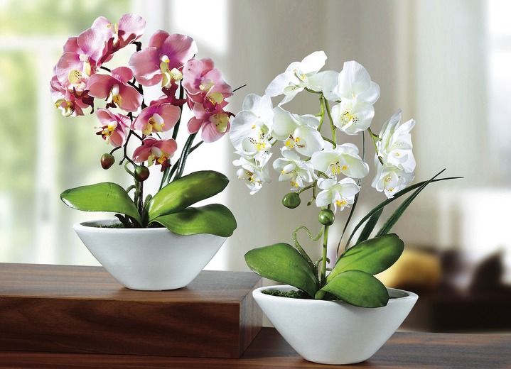 Kunst- & Textilpflanzen - Orchideen in weißen Keramikschalen, 2er-Set, in Farbe