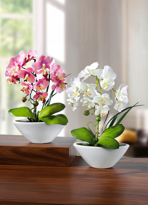 Inspirationen - Orchideen in Keramikschale, 2er-Set, in Farbe