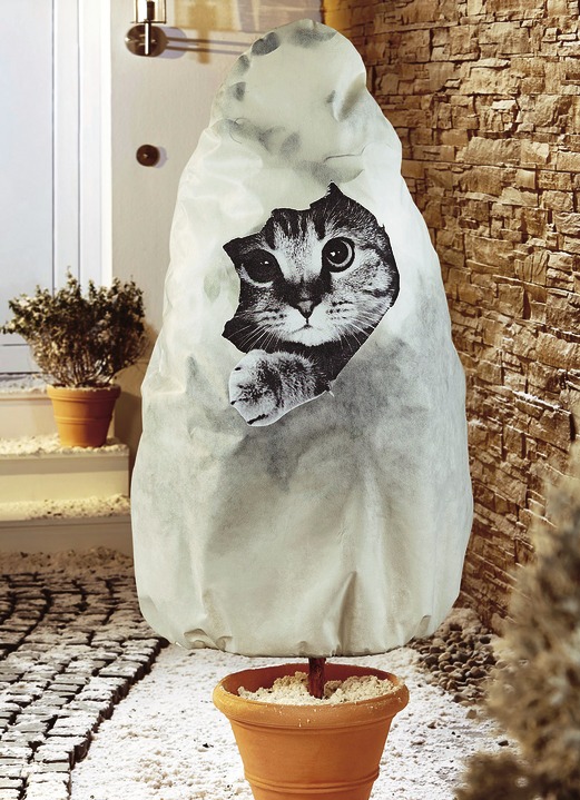 - Winterschutz Vlieshaube mit Katzen-Motiv, in Farbe BEIGE