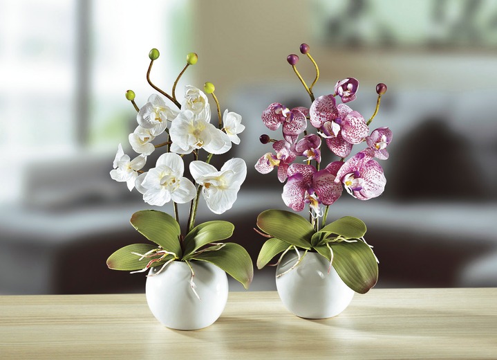Kunst- & Textilpflanzen - Orchideen, 2er-Set, in Farbe