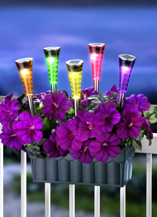 Gartenbeleuchtung - Solar-Steckleuchten, 5er-Set, in Farbe MULTI Ansicht 1