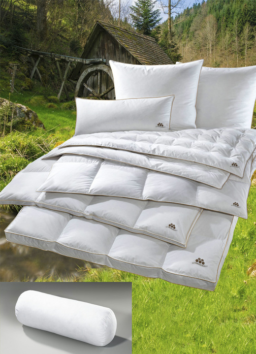 Bettwaren - Daunenbett Schwarzwald aus dem Hause OBB Ansicht 2 Bettwaren - Daunenbett Schwarzwald aus dem Hause OBB, in Größe 103 (Bett, 135/200 cm) bis 403 (4-teiliges Sparset), in Farbe WEISS, in Ausführung Leicht Ansicht 2
