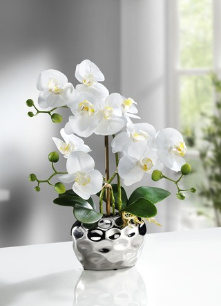 & Brigitte Kunst- | - Hachenburg Textilpflanzen Orchidee im Topf