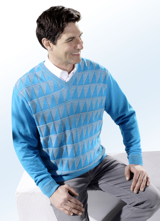 Pullover Hemden Und Shirts Fur Herren Kaufen Brigitte Hachenburg