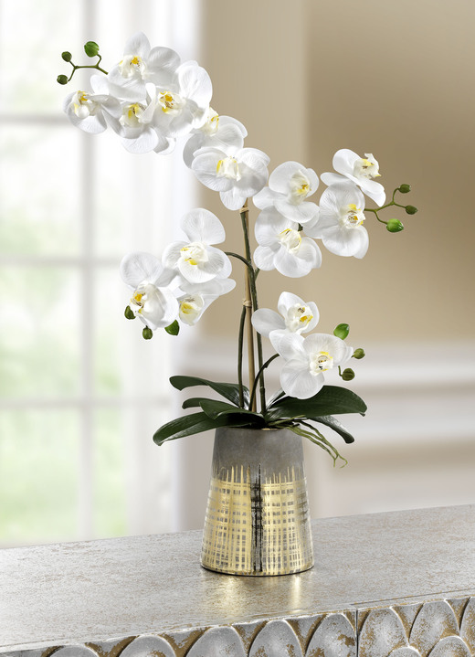 Kunst- & Textilpflanzen - Orchidee im Keramiktopf, in Farbe WEISS