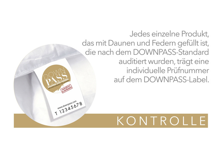 Bettwaren - In Deutschland hergestelltes Daunenprogramm aus dem Hause Spessarttraum Ansicht 3 Bettwaren - In Deutschland hergestelltes Daunenprogramm aus dem Hause Spessarttraum, in Größe 103 (135/200 cm) bis 121 (40/ 80 cm), in Farbe , in Ausführung Blue Kissen Ansicht 3