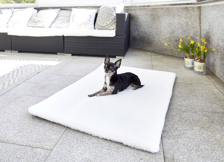 Modern - Waschbares, weich gepolstertes Tierbett Uni, in Größe 103 (60x 90 cm) bis 114 (75x115 cm), in Farbe WEIß Ansicht 1