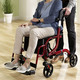 Mobilität - Rollator, auch als Rollstuhl nutzbar, in Farbe ROT – Farbe ROT – Ansicht 1