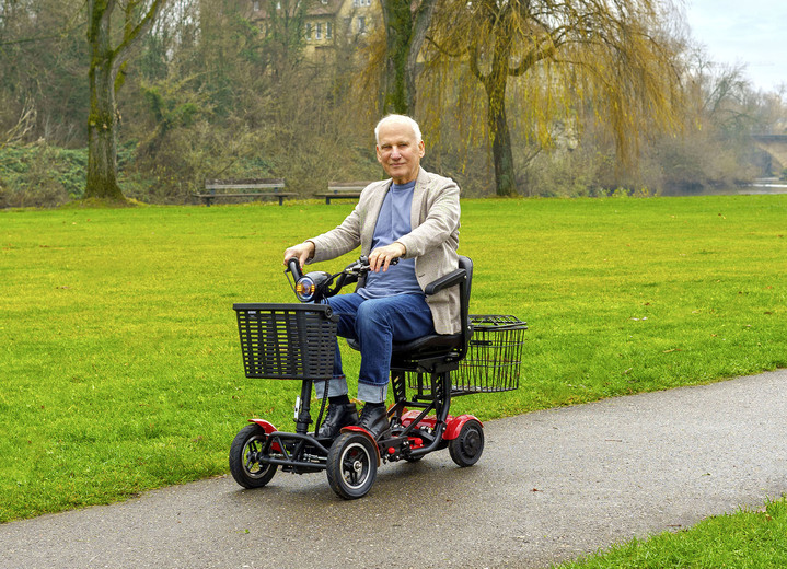 Mobilität - Entspannt durch den Alltag mit dem Econelo 4-Rad-Roller Premium Version, in Farbe ROT Ansicht 1