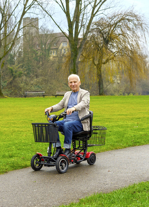 Mobilität - Entspannt durch den Alltag mit dem Econelo 4-Rad-Roller Premium Version, in Farbe ROT Ansicht 1