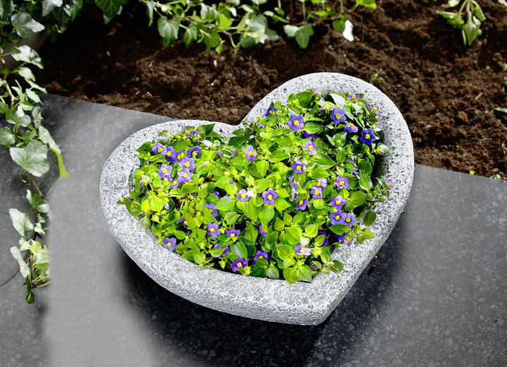 Blumentöpfe und Pflanzgefäße - Herz-Pflanzschale aus wetterfestem Polyresin, in Farbe GRAU