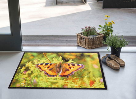 Frühlingshafte Fußmatte mit Schmetterlings-Motiv