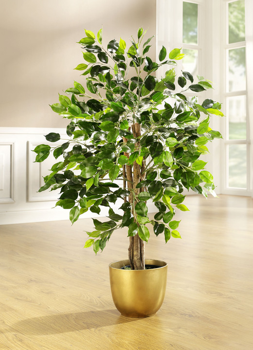 - Textilpflanzen Hachenburg & | im Kunst- Topf Ficus Brigitte