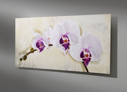 Hochwertiges Bild mit Orchideenblüten