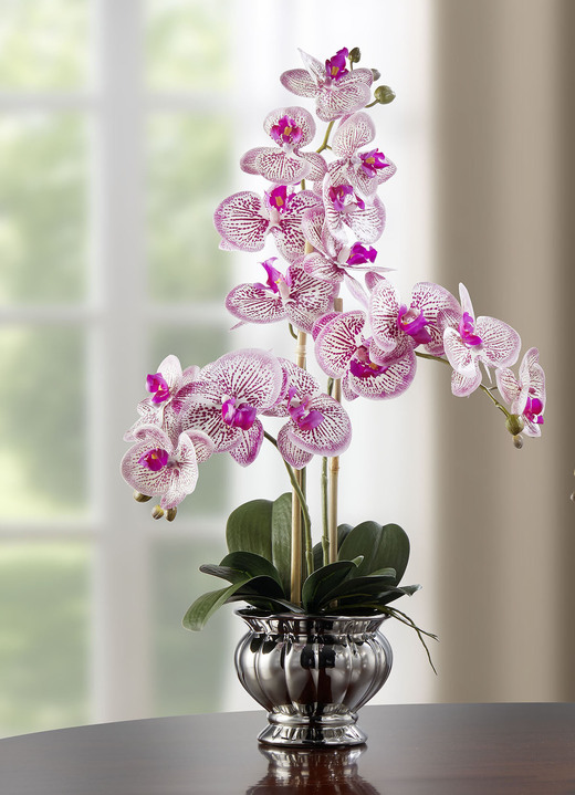 Kunst- & Textilpflanzen - Farbenprächtige Orchidee im Topf, in Farbe ROSA Ansicht 1