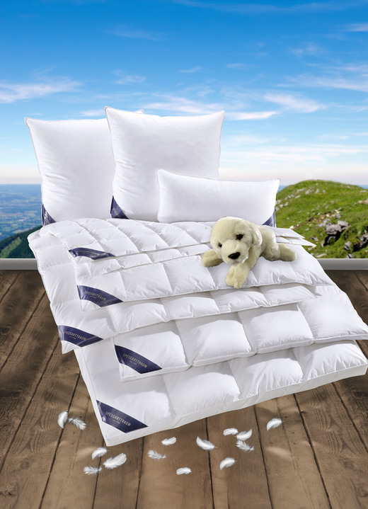 Bettwaren - Hochwertige Daunendecken-Serie von Spessarttraum, in Größe 103 (Decke 135/200 cm) bis 403 (Sparset, 4-teilig, mit gratis Labrador-Welpen-Stofftier), in Farbe WEISS, in Ausführung Leicht Ansicht 6