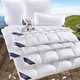 Bettwaren - Hochwertige Daunendecken-Serie von Spessarttraum, in Größe 103 (Decke 135/200 cm) bis 403 (Sparset, 4-teilig, mit gratis Labrador-Welpen-Stofftier), in Farbe WEISS, in Ausführung Leicht – Farbe WEISS – Ansicht 2