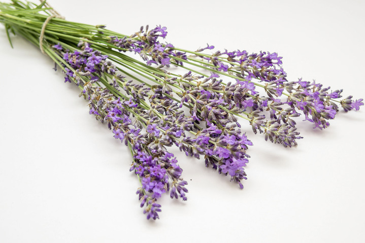 Sonstiges - Nackenstützkissen mit Lavendelduft Ansicht 3 Sonstiges - Nackenstützkissen mit Lavendelduft, in Farbe WEISS Ansicht 3