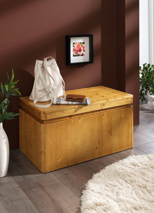 Kleinmöbel - Vielseitige Truhe in toller moderner Optik, in Farbe FICHTE Ansicht 2