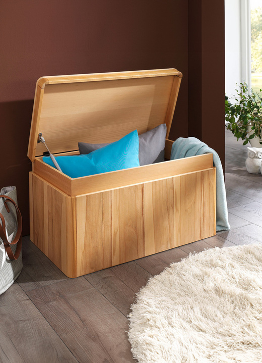 Kleinmöbel - Vielseitige Truhe in toller moderner Optik, in Farbe FICHTE Ansicht 3