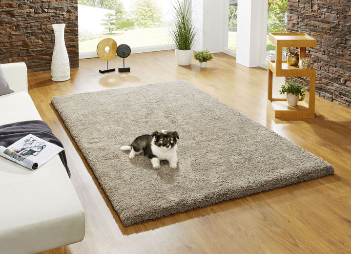 Modern - Kombistarke Brücken, Galerien und Teppiche aus dichtgewebtem Shaggy-Flor, in Größe 111 (Brücke, 60x110 cm) bis 305 (Teppich, ø 160 cm), in Farbe CREME Ansicht 6