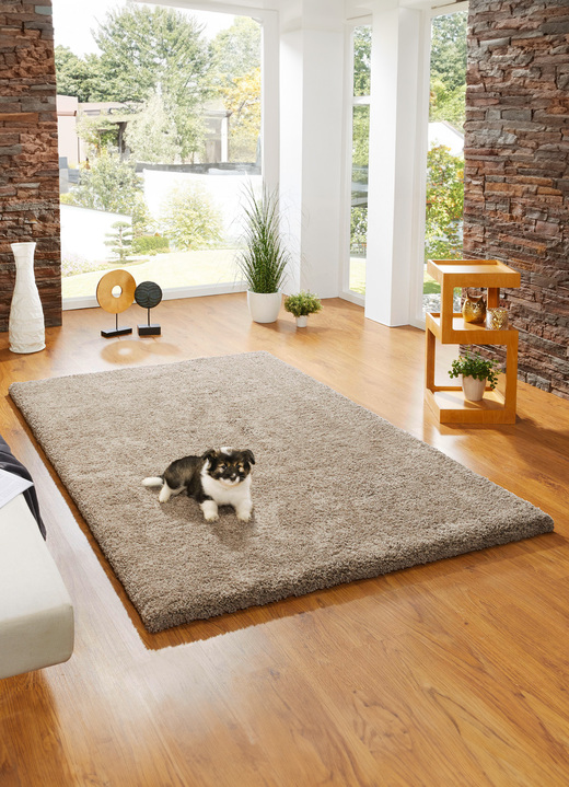 Modern - Kombistarke Brücken, Galerien und Teppiche aus dichtgewebtem Shaggy-Flor, in Größe 111 (Brücke, 60x110 cm) bis 305 (Teppich, ø 160 cm), in Farbe CREME Ansicht 7