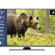 - LED-Fernseher mit 4K-Ultra-HD-Auflösung, in Farbe SCHWARZ – Farbe SCHWARZ – Ansicht 2
