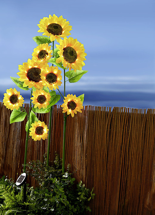 Solarleuchten - XXL-Solar-Sonnenblumen, in Farbe GELB-GRÜN-BRAUN