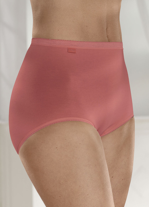 Slips - Sloggi Dreierpack Maxi-Slips , in Größe 038 bis 058, in Farbe 1X APRICOT, 1X ECRU, 1X TERRA Ansicht 5