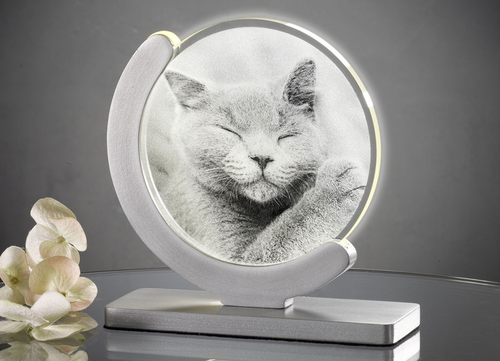 - Dimmbare LED-Tischleuchte mit Katzen-Motiv, in Farbe SILBER