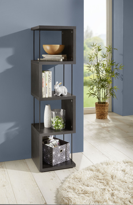 Regale & Schränke - Standregal,ideal auch als Raumteiler Ansicht 4 Regale & Schränke - Standregal,ideal auch als Raumteiler, in Farbe SCHWARZSTAHL, in Ausführung Standregal, schmal, 2 Ablagefächer Ansicht 4
