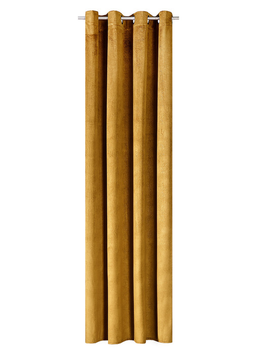 Klassisch - Energiespar-Verdunkelungsschals in Samtoptik, in Größe 364 (H150xB140 cm) bis 436 (H245xB140 cm), in Farbe CREME, in Ausführung mit Universalschienenband Ansicht 22