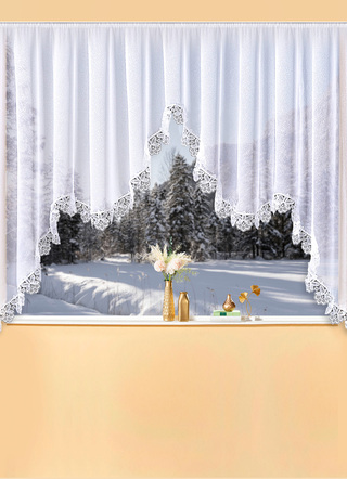 Klassisch - M-Bogen-Store aus echter Plauener Spitze, in Größe 065 (H125xB300 cm) bis 110 (H145xB750 cm), in Farbe WEISS – Farbe WEISS – Ansicht 