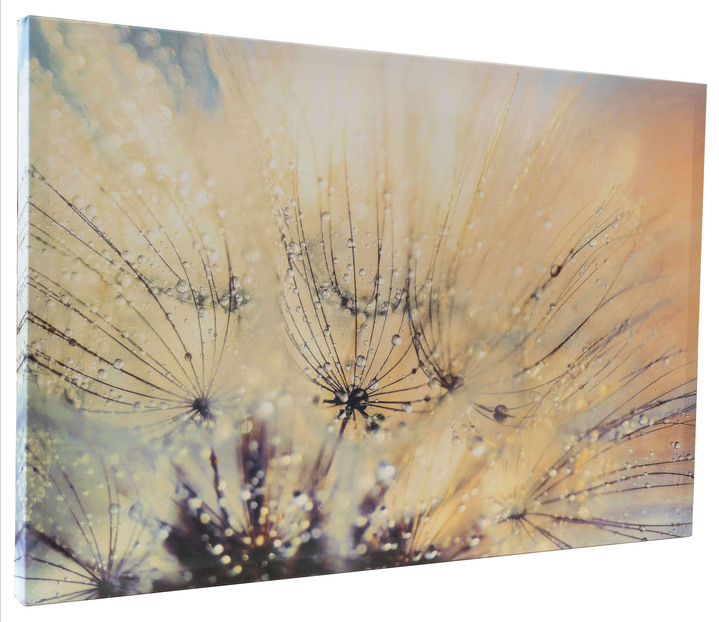 Blumen - Leinwandbild mit Zertifikat, in Farbe BUNT Ansicht 2