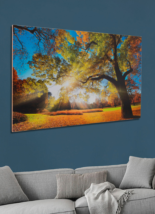 Herbstimpressionen - Hochwertiges Kunstdruck Bild, in Farbe BUNT Ansicht 1