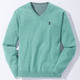 Hemden, Pullover & Shirts - Modischer V-Pullover in 6 Farben – Farbe TÜRKIS MELIERT Hemden, Pullover & Shirts - Modischer V-Pullover in 6 Farben, in Größe 046 bis 062, in Farbe ROT MELIERT