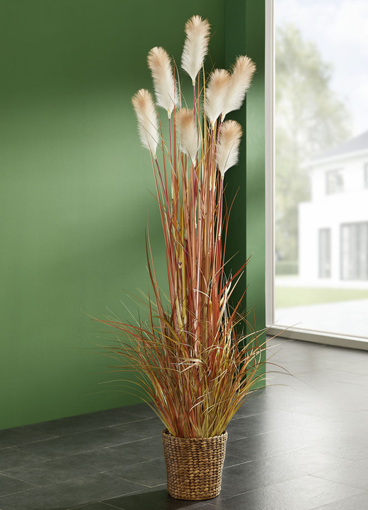 Kunst- & Textilpflanzen - Schilfgras im Topf, in Farbe GRÜN