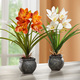 Kunst- & Textilpflanzen - Cymbidium-Orchidee im Zementtopf, in Farbe CREME – Farbe CREME – Ansicht 2