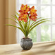 Kunst- & Textilpflanzen - Cymbidium-Orchidee im Zementtopf, in Farbe CREME – Farbe ORANGE – Ansicht 1