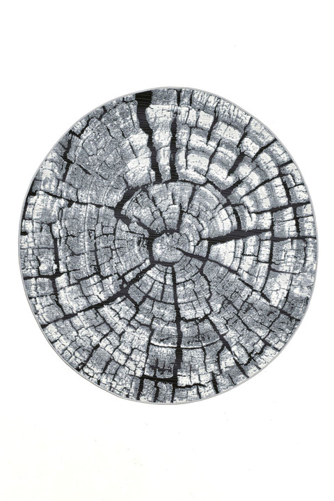 Modern - Teppich im naturnahen Baumstamm-Design, in Größe 300 (ø 60 cm) bis 314 (ø 300 cm), in Farbe GRAU Ansicht 2