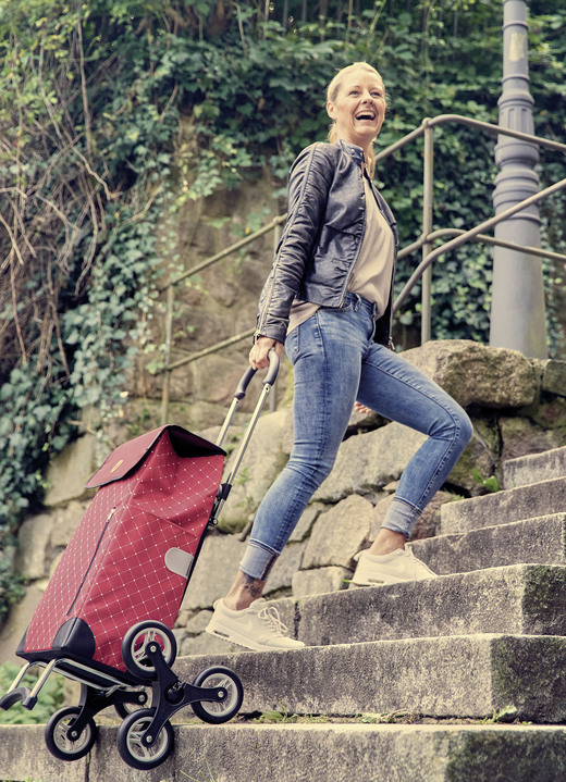 Einkaufstrolleys - Treppensteiger Einkausroller Scala Shopper® Sofia, in Farbe ANTHRAZIT Ansicht 4